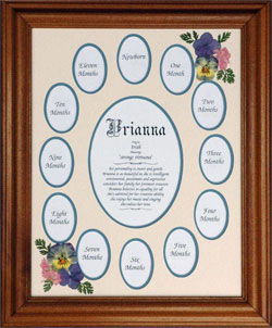 Baby Photo Mats Baby Photo Mats