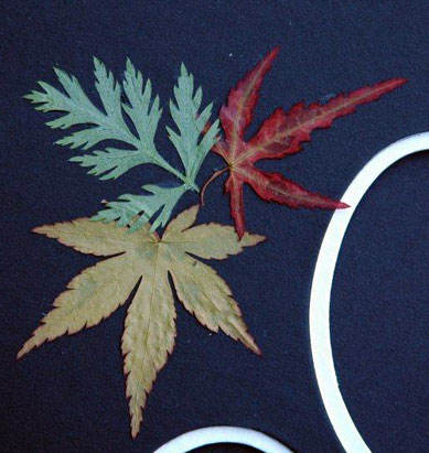 Custom Mat Leaves Custom Mat Leaves